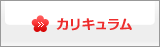 カリキュラム